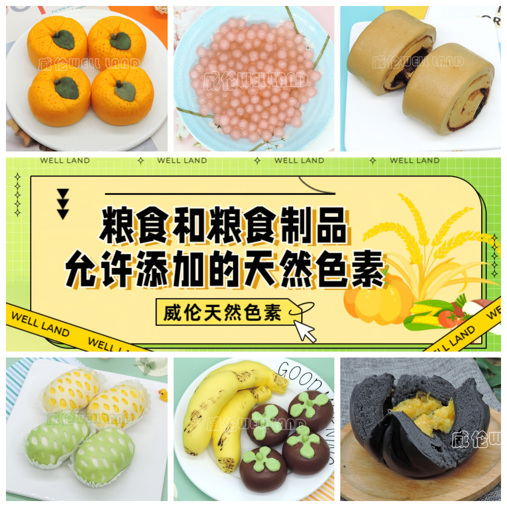 粮食和粮食制品允许添加的天然色素